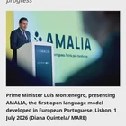 葡萄牙发布本土大语言模型 Amalia(9B)