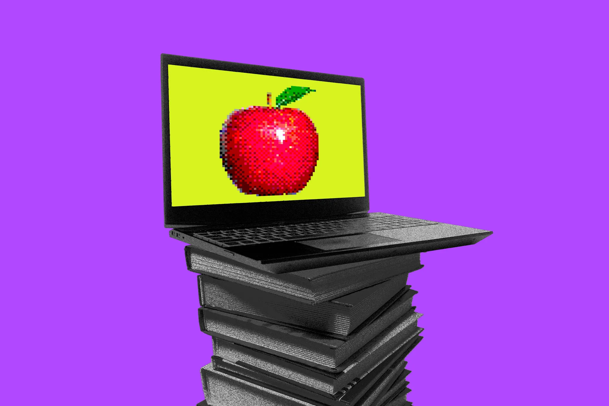 STK483_EDUCATION_D